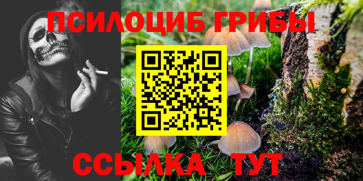 Псилоцибиновые грибы Psilocybine cubensis  Вход с VPN  Псилоцибиновые грибы Psilocybine cubensis  Усть-Илимск 
