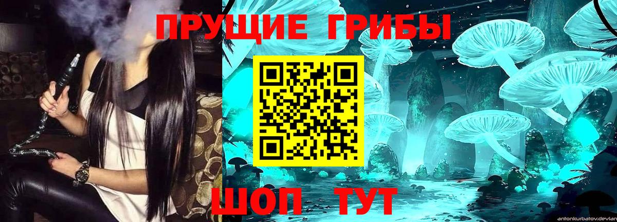 Галлюциногенные грибы прущие грибы Усть-Илимск